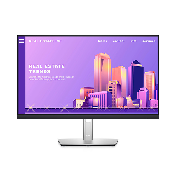 Màn hình DELL P2422H 23.8 Inch